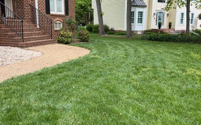Photo of Linda S.'s yard after getting lawn care in Chester, VA