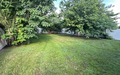 Photo of JosΓ© J.'s yard after getting lawn care in Plant City, FL