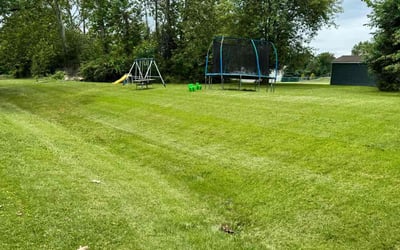 Photo of Janet F.'s yard after getting lawn care in King Of Prussia, PA