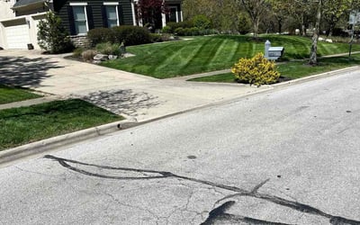Photo of Diane D.'s yard after getting lawn care in Laurelville, OH