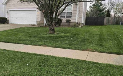 Photo of Eunice A.'s yard after getting lawn care in Henderson, KY