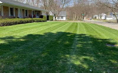 Photo of Raymond M.'s yard after getting lawn care in East Lansing, MI
