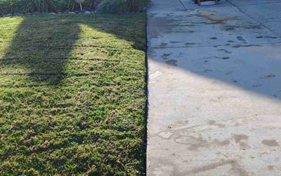 Photo of Laura M.'s yard after getting lawn care in Milpitas, CA