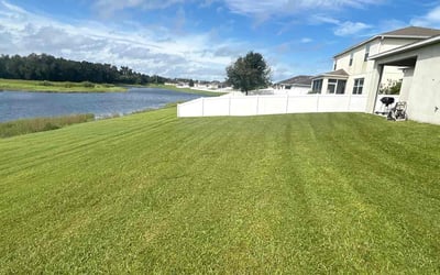 Photo of Christine B.'s yard after getting lawn care in Spring Hill, FL