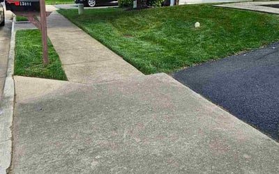 Photo of Guy P.'s yard after getting tree care in Fernandina Beach, FL