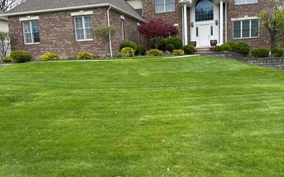 Photo of Toya D.'s yard after getting lawn care in Broadview Heights, OH