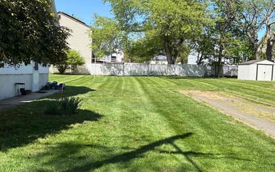 Photo of Amber J.'s yard after getting lawn care in Edison, NJ