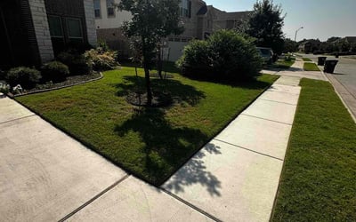 Photo of Mark j.'s yard after getting lawn care in Lakeway, TX