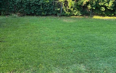 Photo of Star B.'s yard after getting lawn care in Bethany, OK