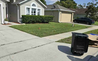 Photo of Kevin P.'s yard after getting lawn care in Alexandria, VA