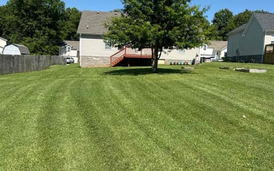Photo of Andrew M.'s yard after getting lawn care in Hudson, MA