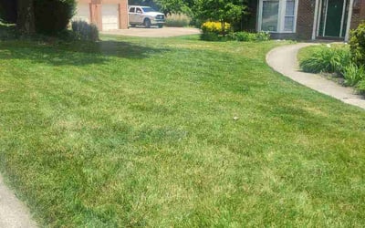 Photo of Joseph B.'s yard after getting lawn care in Wethersfield, CT