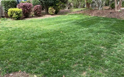 Photo of James G.'s yard after getting lawn care in Supply, NC