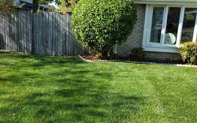 Photo of Emann D.'s yard after getting lawn care in Greenbelt, MD
