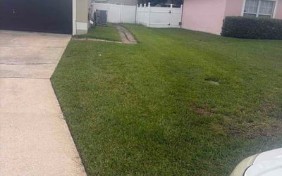 Photo of Shelly H.'s yard after getting lawn care in Troy, IL