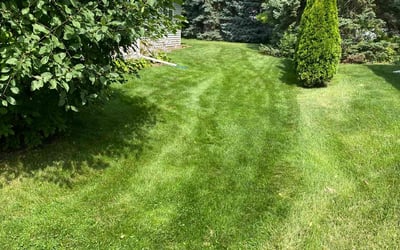 Photo of Sterling E.'s yard after getting lawn care in Neenah, WI