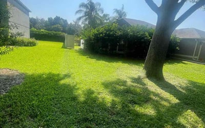 Photo of Junior K.'s yard after getting lawn care in Ocoee, FL