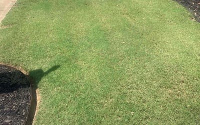 Photo of Larry C.'s yard after getting lawn care in Alpharetta, GA