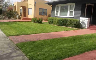 Photo of Karen S.'s yard after getting lawn care in Stockton, CA