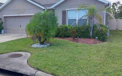 Photo of Denise Z.'s yard after getting lawn care in Palm Bay, FL