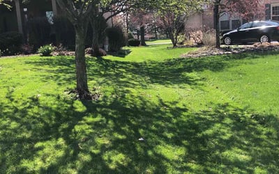 Photo of Kathy S.'s yard after getting lawn care in Oxford, OH