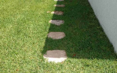 Photo of Christian S.'s yard after getting lawn care in Fort Lauderdale, FL