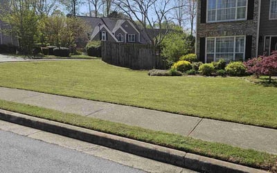 Photo of Sandi L.'s yard after getting lawn care in Lawrenceville, GA