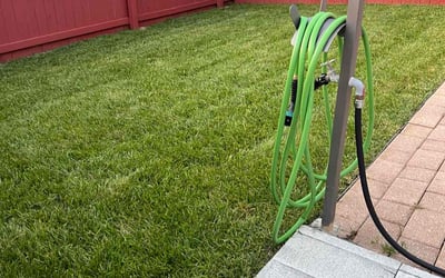 Photo of Sonya H.'s yard after getting lawn care in Flint, MI