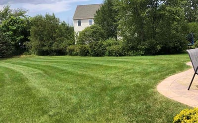Photo of Janis M.'s yard after getting lawn care in Franklin, WI