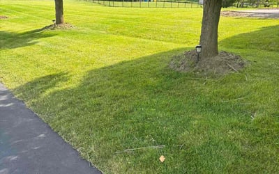 Photo of Neil & Kathy W.'s yard after getting lawn care in Aurora, IL