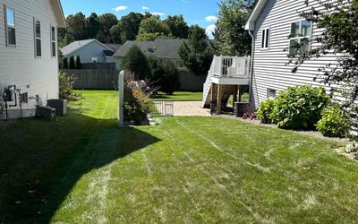 Photo of Lee H.'s yard after getting lawn care in West Bend, WI