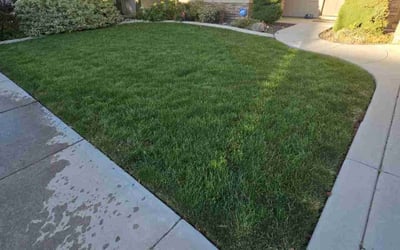 Photo of Ashlyn J.'s yard after getting lawn care in Meridian, ID