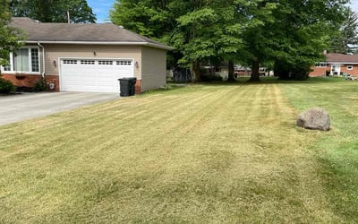 Photo of Laura S.'s yard after getting lawn care in Broadview Heights, OH