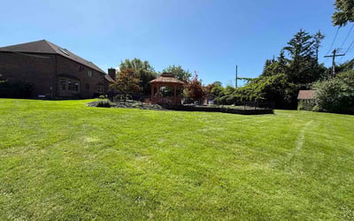 Photo of Deborah B.'s yard after getting lawn care in Salisbury, NC