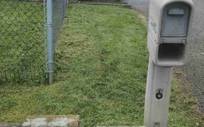 Photo of Marcus M.'s yard after getting lawn care in York, SC
