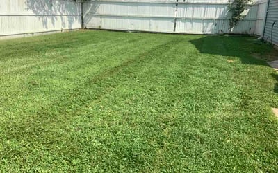 Photo of Thomas P.'s yard after getting lawn care in Gainesville, GA