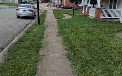 Photo of Jason P.'s yard after getting lawn care in Olney, MD