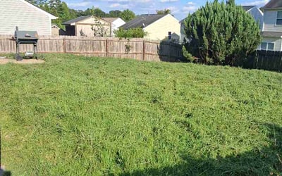 Photo of Adrian S.'s yard after getting lawn care in Columbia, MO