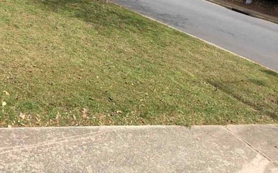 Photo of Nick N.'s yard after getting lawn care in Niagara Falls, NY
