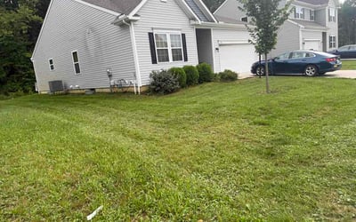 Photo of Kathy W.'s yard after getting lawn care in Kearny, NJ