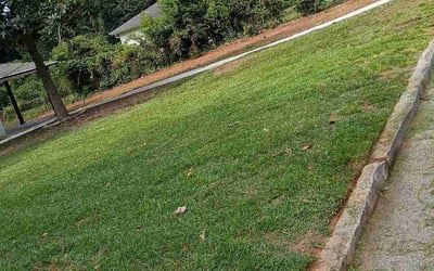 Photo of Sharron L.'s yard after getting lawn care in Leeds, AL
