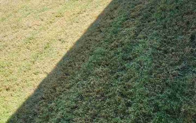 Photo of John T.'s yard after getting lawn care in York, SC