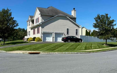 Photo of Jamila C.'s yard after getting lawn care in Greenville, SC
