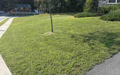 Photo of Kevin S.'s yard after getting lawn care in Richmond, VA