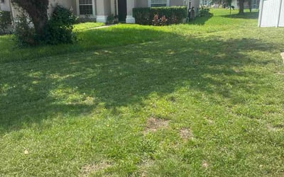 Photo of Angie G.'s yard after getting lawn care in Elkhart, IN