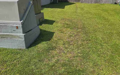 Photo of Ryan N.'s yard after getting lawn care in Lansdowne, PA