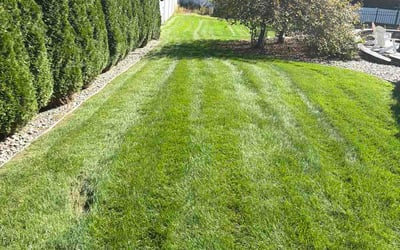 Photo of Ben A.'s yard after getting lawn care in Groton, CT