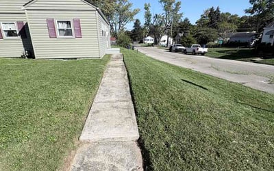 Photo of Erica J.'s yard after getting lawn care in Luling, TX