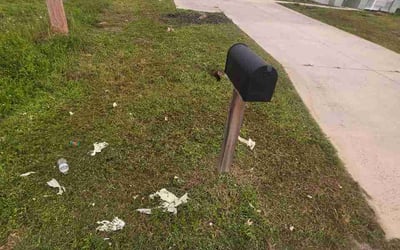Photo of Bobby C.'s yard after getting lawn care in Liberty, SC