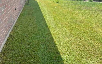 Photo of Andrea T.'s yard after getting lawn care in Willow Grove, PA